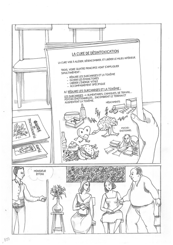 Le grand livre illustré de la naturopathie - Tome 1 — Chapitre 5 — La cure de désintoxication