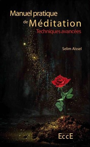 [9782351951965] ​Manuel pratique de Méditation - Techniques avancées