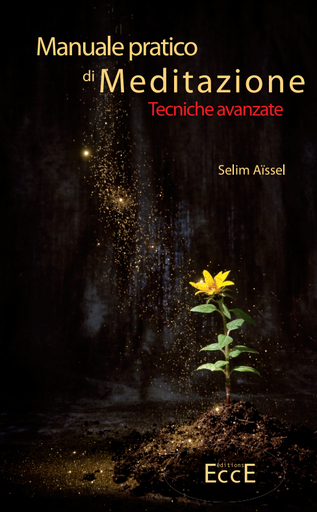 [9782351953754] Manuel Pratique de Méditation t2 ITALIEN, Selim Aïssel
